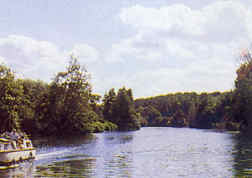 charente, near cognac