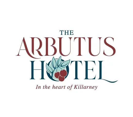Stay Near St Mary's Cathedral: 3 Family Hotels Killarney